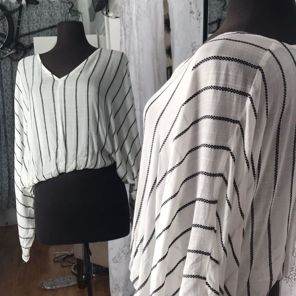 Striped Flared Sheer Long Sleeve Blouse.